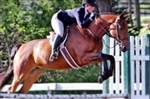Rochester Hills Stables