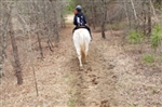 Legacy Riding Stables