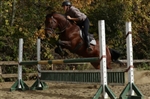 Equestrian Riding Center Bonanza