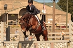 Garret Mountain Equestrian Center