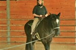 Dawson Equestrian Center