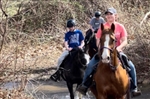 Jordan Hollow Stables