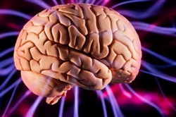 Dr. Abdolreza Siadati