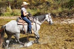 Brushy Creek Lodge & Resort