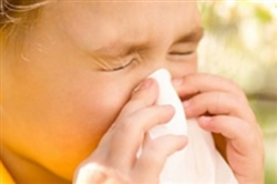 Dr. Asal Gharib Naderi