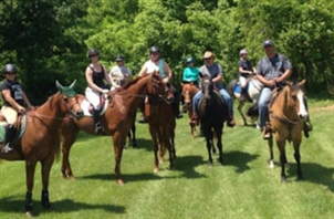 Miran Farm