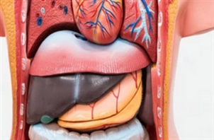 Dr. Alireza Khazaeizadeh