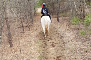 Legacy Riding Stables