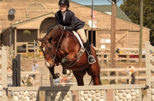 Garret Mountain Equestrian Center