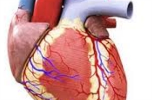 Dr. Gholam Mohammad Zadeh