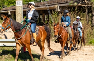 Cypress Trails Ranch LLC