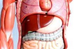 Dr. Dan E. Dardashti