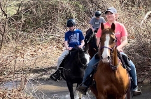 Jordan Hollow Stables