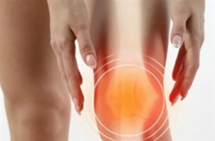 Dr. Farnoush Mohammadi