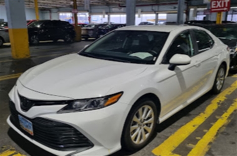 Fox Rent A Car Los Angeles