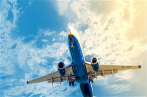 Haleh Travel Agency