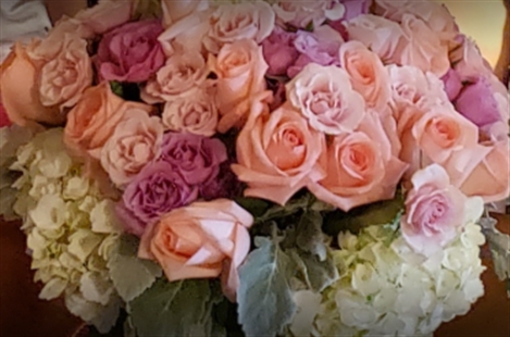 Flamingo's Flower