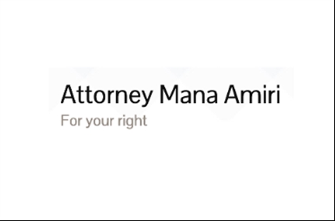 Lawyer Mana Amiri