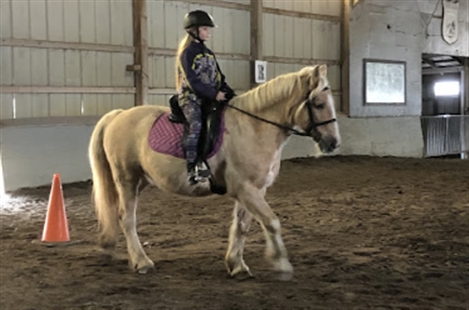 Nottingham Equestrian Center