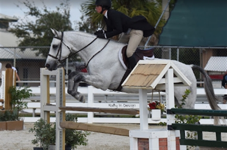 Strong Current Stables