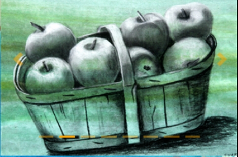 Ms. Shamsi Shahrokhi