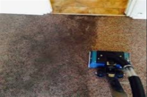 Quick Dry Carpet Cleaning