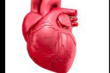 Dr. Mohsen Bannazadeh