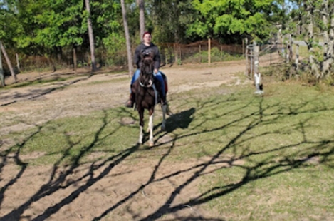 Sunshine Riding Trails