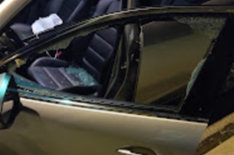Senneco Auto Glass