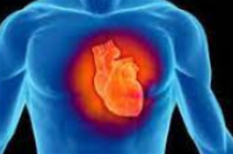 Dr. Sayed-Behnam Banihashemi