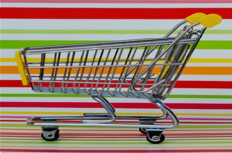 Mr. Freydoon Rahmani