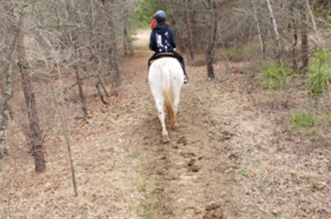 Legacy Riding Stables