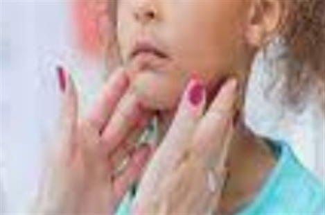 Dr Fatemeh Dana Mojdami