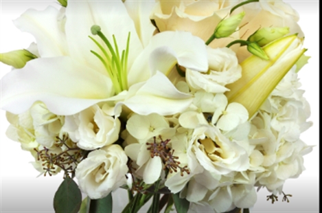 Milan Floral
