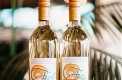 Fazeli Winery