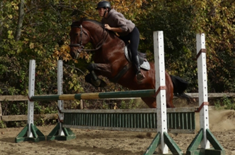 Equestrian Riding Center Bonanza