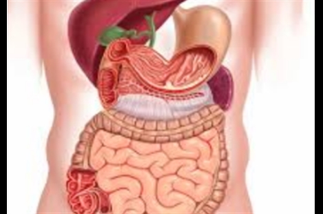 Dr. Javad Khalilzadeh