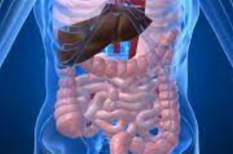 Dr. Mohsen Kouchakan