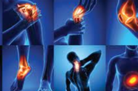 Hekmat Orthopedic Medical Group Inc
