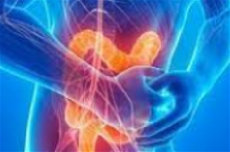 Dr Mohammad Ali Shafiee Nyestanak