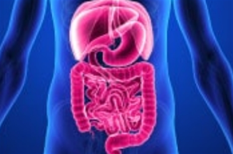 Dr Amir Hossein Flag Razavi