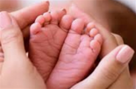 Dr. Nargess Ahgharian