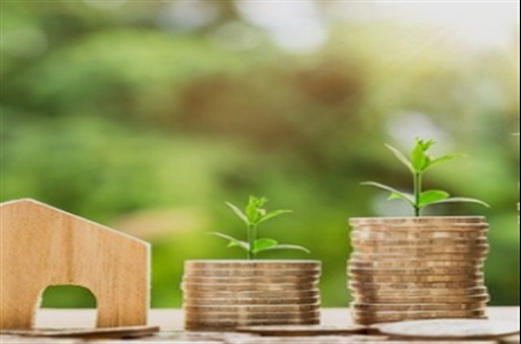 Mr Fariborz Farhoudinejad