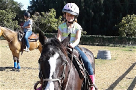 Goodman Performance Horses