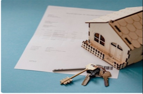 Mr Alireza Moghaddam