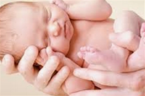 Dr Noushin Khoshbakht