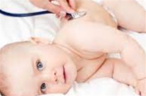 Dr Leila Fazeli Chaghoshi