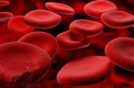 Dr. Nastaran Noroozi