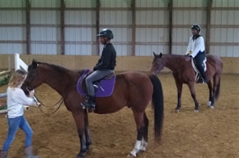 Country Comfort Farm