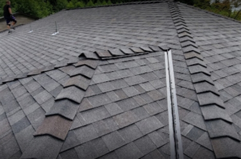 Washington Roofing Services